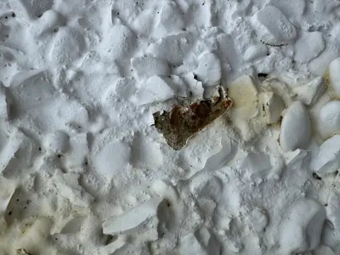 Close-up of white pebbledash with a rusty hollow where a piece of iron ore aggregate has been chipped out