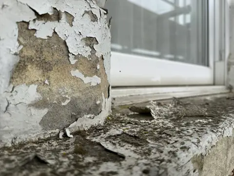 Close-up of white paint peeling from a stone pillar base onto a lichen-spotted window sill
