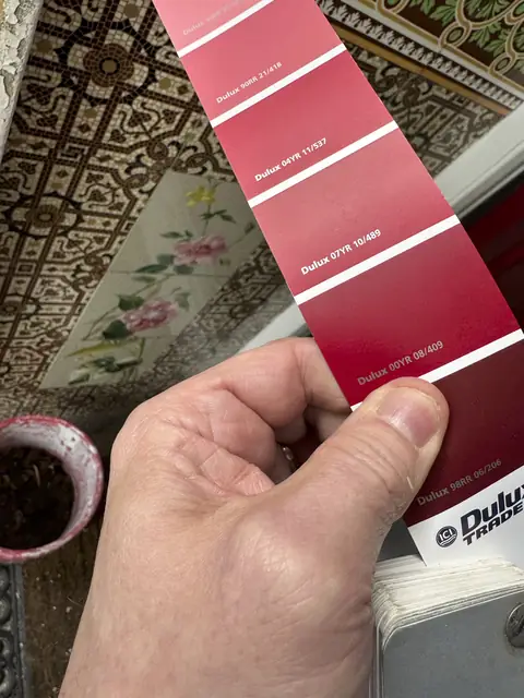 Hand holding a fan of Dulux Trade red colour swatches over a tiled Victorian porch floor