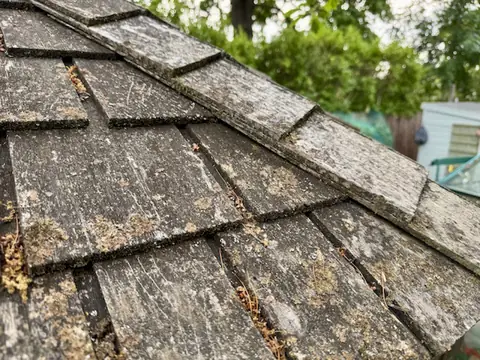 Weathered cedar shingles along a roof hip, grey and patched with lichen