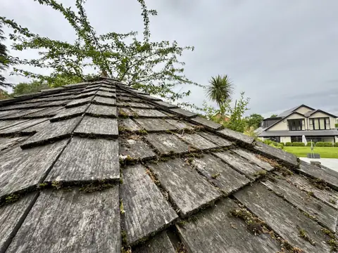 Grey mossy cedar shingle roof seen across its slope, a tree and palm behind and a house beyond the garden