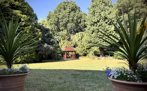Varnished circular gazebo at the far end of a long lawn, framed by two potted plants
